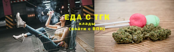 гашик Новозыбков