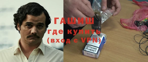 гашик Новозыбков