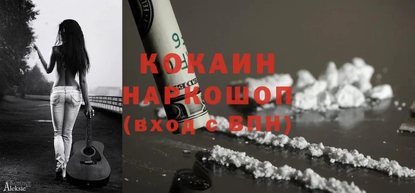 гашик Новозыбков