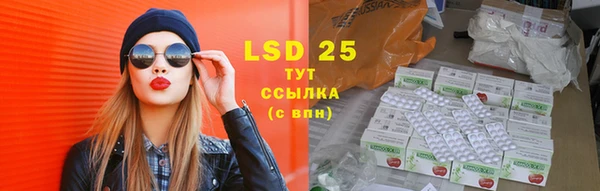 гашик Новодвинск