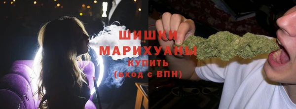 гашик Новозыбков