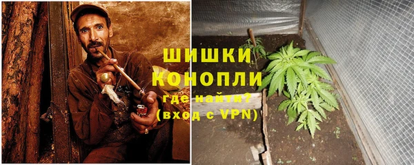 гашик Новодвинск
