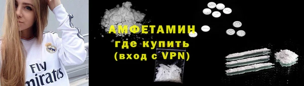 гашик Новозыбков
