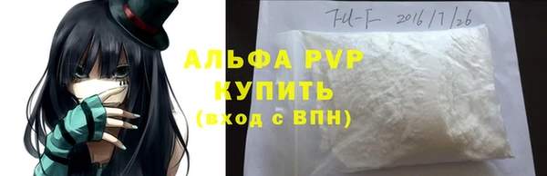 гашик Новодвинск