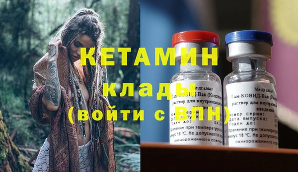 гашик Новозыбков