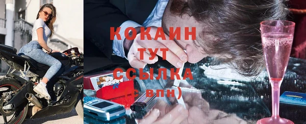 гашик Новодвинск