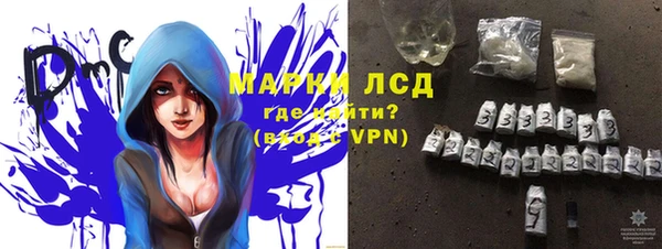 гашик Новодвинск