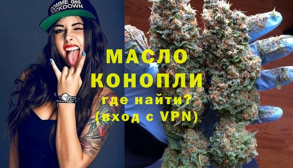гашик Новозыбков