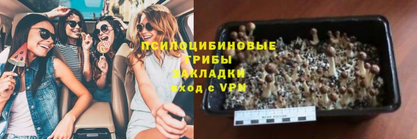 прущие крисы Новокубанск