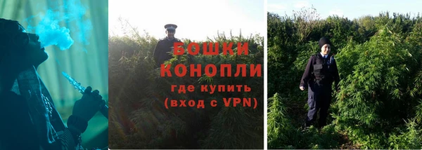 гашик Новозыбков