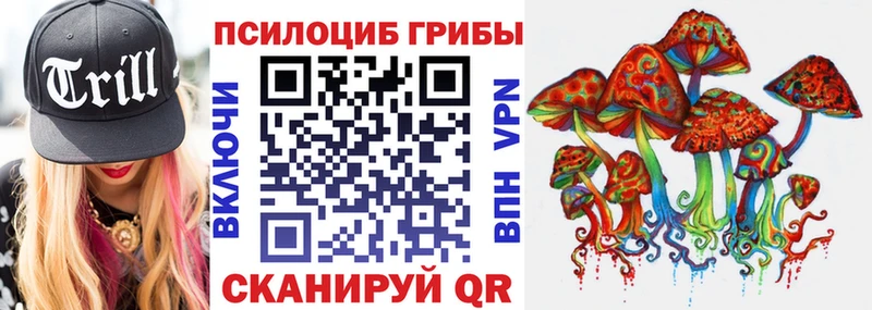 Псилоцибиновые грибы Cubensis  купить   кракен маркетплейс  дарк нет как зайти  Динская 
